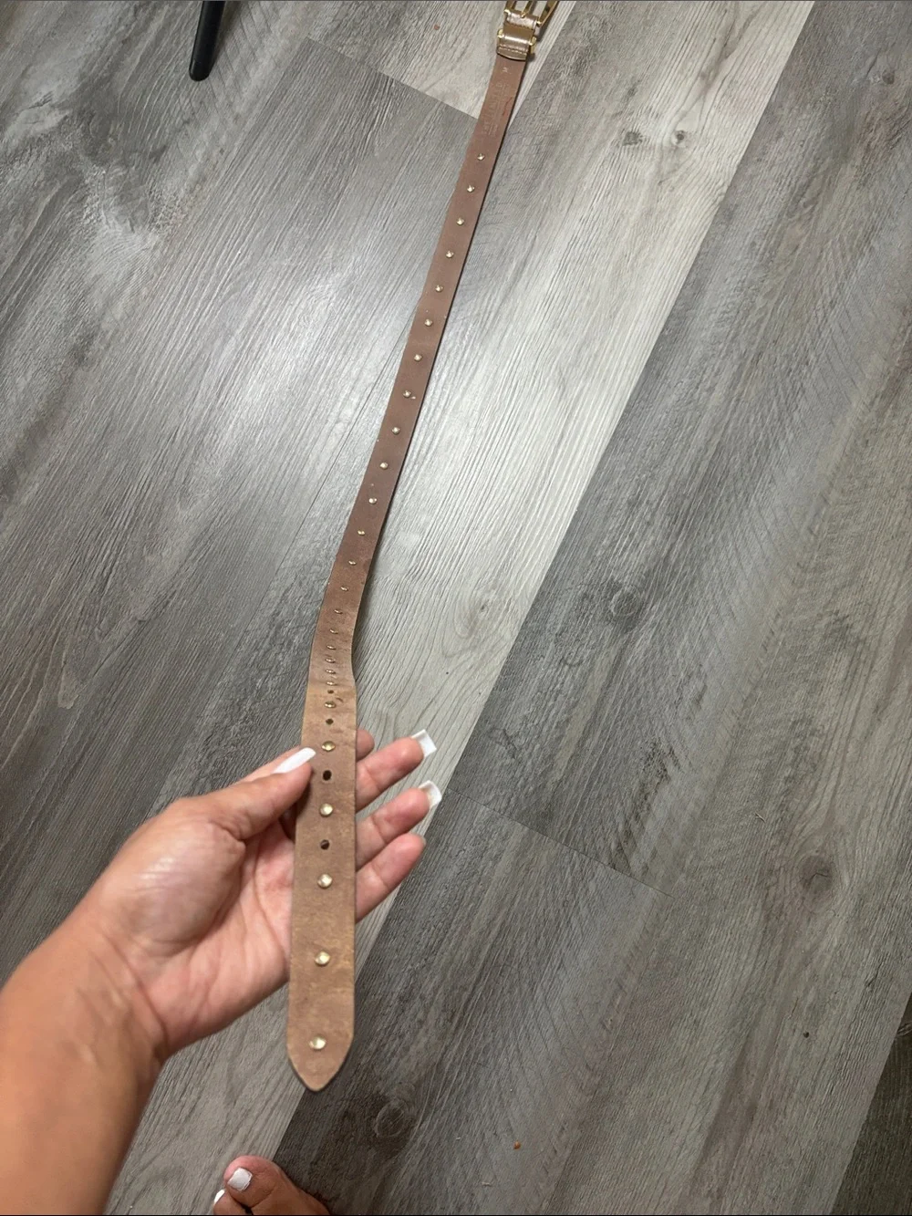 Vintage leather belt The Limited Studded Belt with Gold Hardware